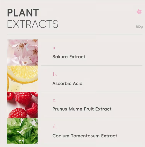 Japan Sakura Cleanser product image 3